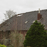 IMG_5924.JPG