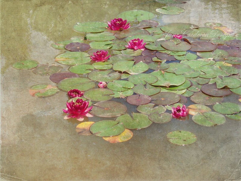 [RedLily_Bentedges%255B3%255D.jpg]