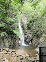 IMG_0776.jpg Photo