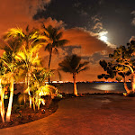 low res-9225.jpg