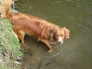 IMG_2798.JPG