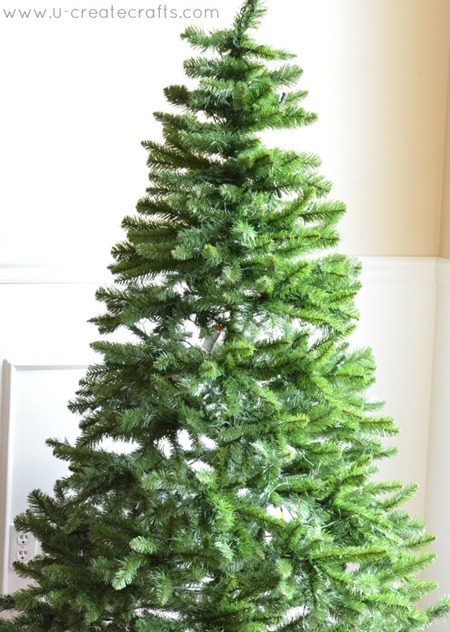before tree