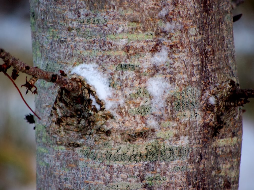 [5%2520Dec%25206%255B3%255D.jpg]