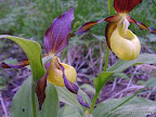 29.5.08 002.jpg 29.5.08 002.jpg