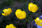 DSC03258.JPG