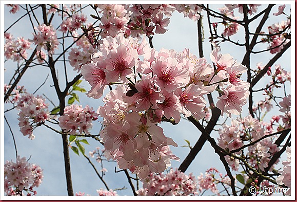IMG_2400 IMG_2400