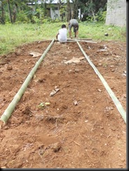 DSCN3238 DSCN3238