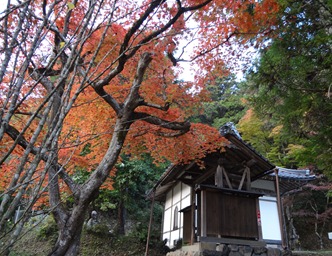 DSC00775 DSC00775