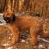 Abi - E (140d).jpg
