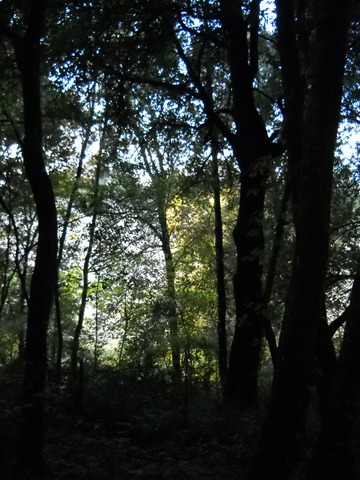 [Bosco%2520Ragnaia%2520140%255B3%255D.jpg]