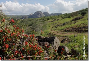 No meio do caminho, a visão da Pedra da Boca No meio do caminho, a visão da Pedra da Boca