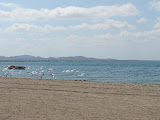 El mar, la pesca y las aves El mar, la pesca y las aves
