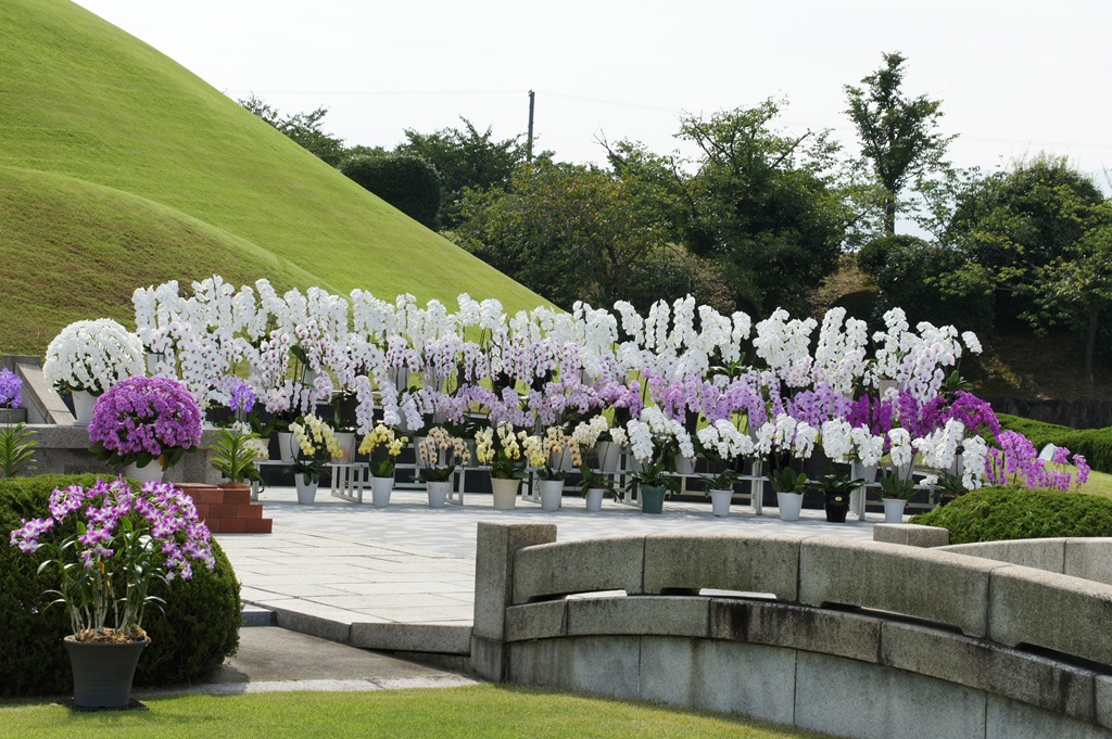 [Gloria%2520Ishizaka%2520-%2520PL%25202011%2520-%2520himorogui%2520dia%2520de%2520Kyosso%2520sai%2520-%2520orquideas%25201%255B4%255D.jpg]