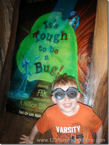 Animal Kingdom - It's a Bug;s Life 3D Show Animal Kingdom - It's a Bug;s Life 3D Show