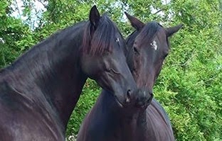 [20140911105813-%25283%2529%255B5%255D.jpg]