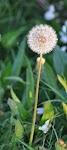DSC_0403_new.jpg