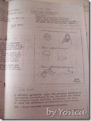 SAM_3316 SAM_3316