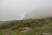 IMG_9367.JPG Photo