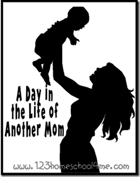 A Day in the Life of Another Mom A Day in the Life of Another Mom