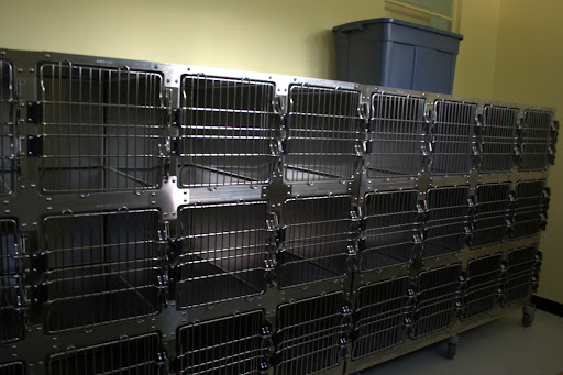 The cat side of the clinic is able to hold 24 felines so they can be prepped and held for surgery. (Photo by: Kenrick Nobles)