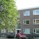 IMG_2801.jpg