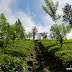 Stairway to Heaven....