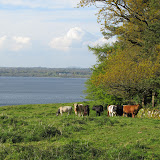 Along the Park walls down to Lough Sheelin