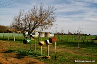 IMG_5046.JPG