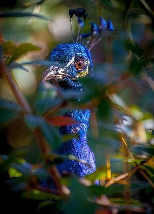 [249346_544174995604245_1052776238_n%255B4%255D.jpg]