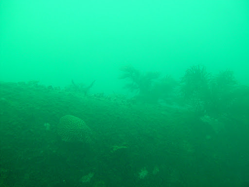 Top corner of the ship