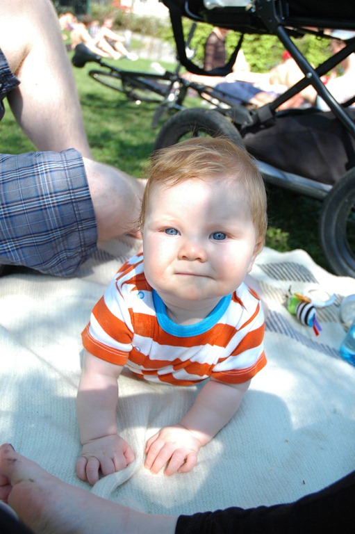 [DSC_1824%255B5%255D.jpg]