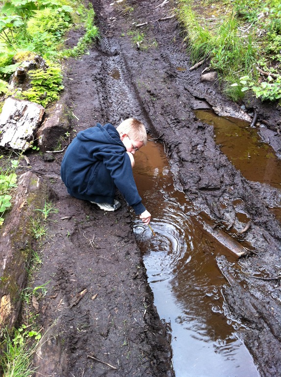 [Alaska_Aug2011-0604.jpg]
