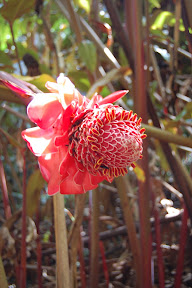 DSC_0216.jpg