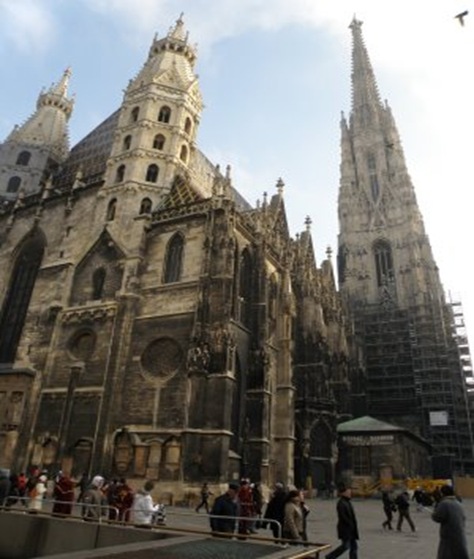 viena viena