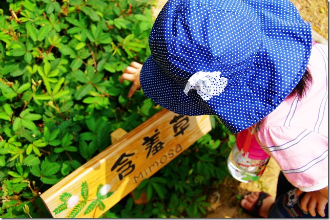 DSC04843 DSC04843