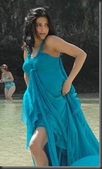 Sruthi-Haasan-hot-image Sruthi-Haasan-hot-image