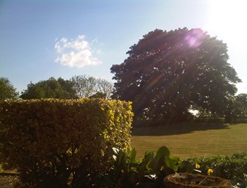 Sunny Norfolk