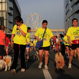 Pet Express Doggie Run 2012 Philippines. Jpg (136).JPG