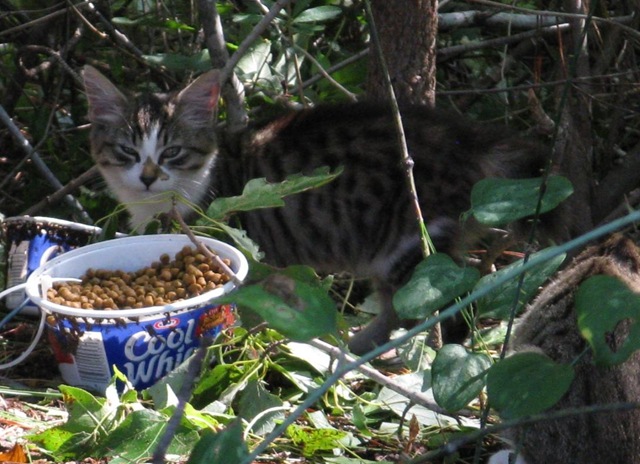[IMG_8691CROPPED2.jpg]