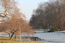 IMG_0899 IMG_0899
