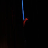mwroc-2011-07-21-260.jpg