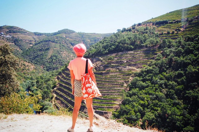 douro valley.jpg douro valley