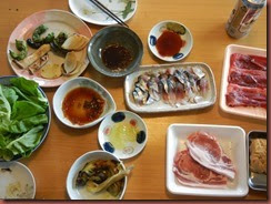 DSCN6293 DSCN6293