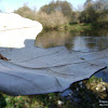 dsc05771.jpg