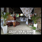 IMG_2669.jpg