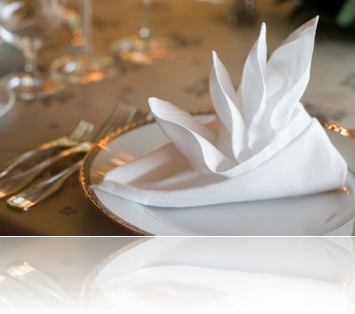 napkin-large