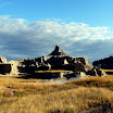 Badlands e Black Hills (72).JPG