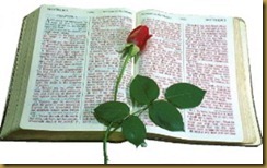 biblerose