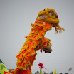 DSC_0729.jpg