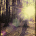 DSCN4350.JPG